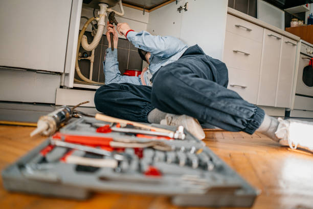Best Clogged Drain Plumber  in Park View, IA